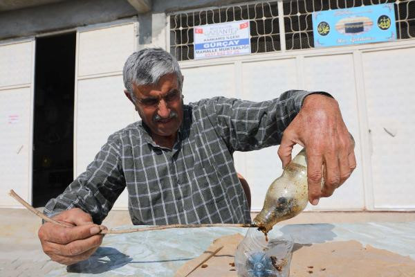 Akrep panzehrinin şaşırtan tarifi. Dağ bayır dolaşıp topluyor - Resim : 3