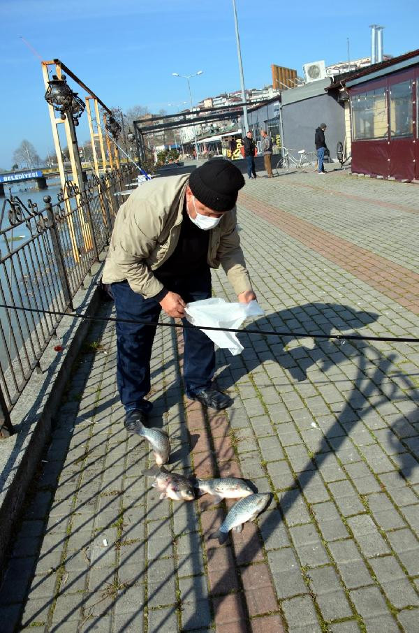 Karadeniz'de büyük tehlike - Resim : 7