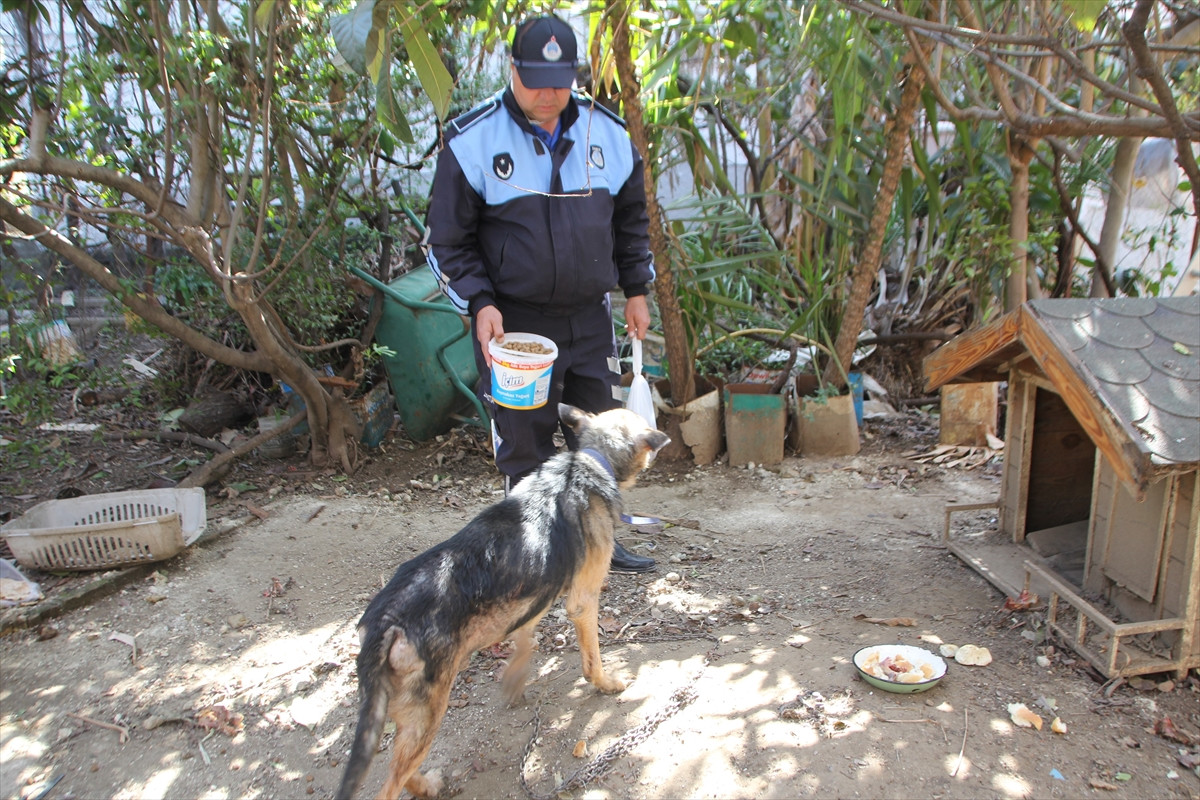 Cezaevindeki tutuklunun hayvanları belediyeye emanet - Resim : 1