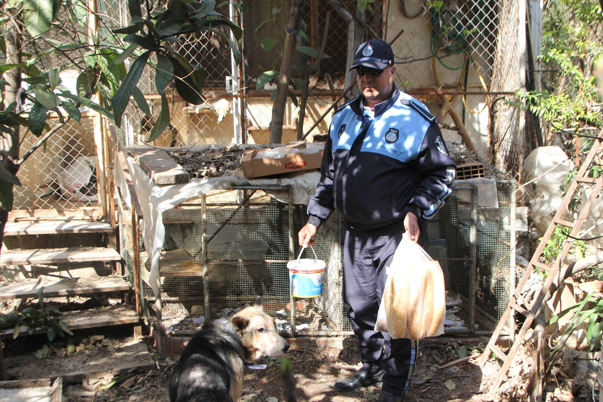 Cezaevindeki tutuklunun hayvanları belediyeye emanet - Resim : 3