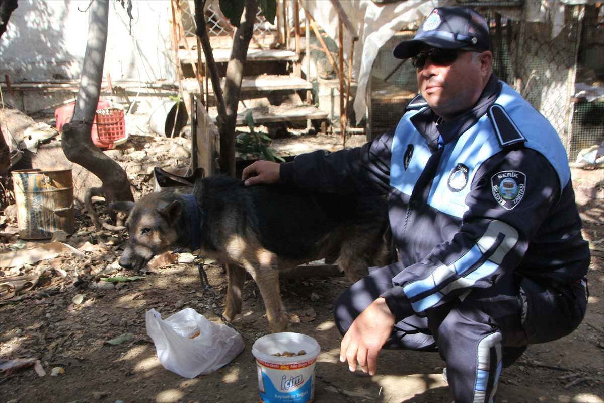 Cezaevindeki tutuklunun hayvanları belediyeye emanet - Resim : 5