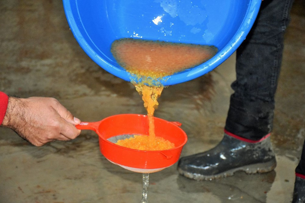 Muş’ta 45 gün bekletilip satılıyor. Servet değerinde - Resim : 2