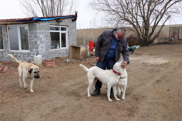 Eskişehir'de 6 aylık yavru öldürülmüş bulundu - Resim : 3