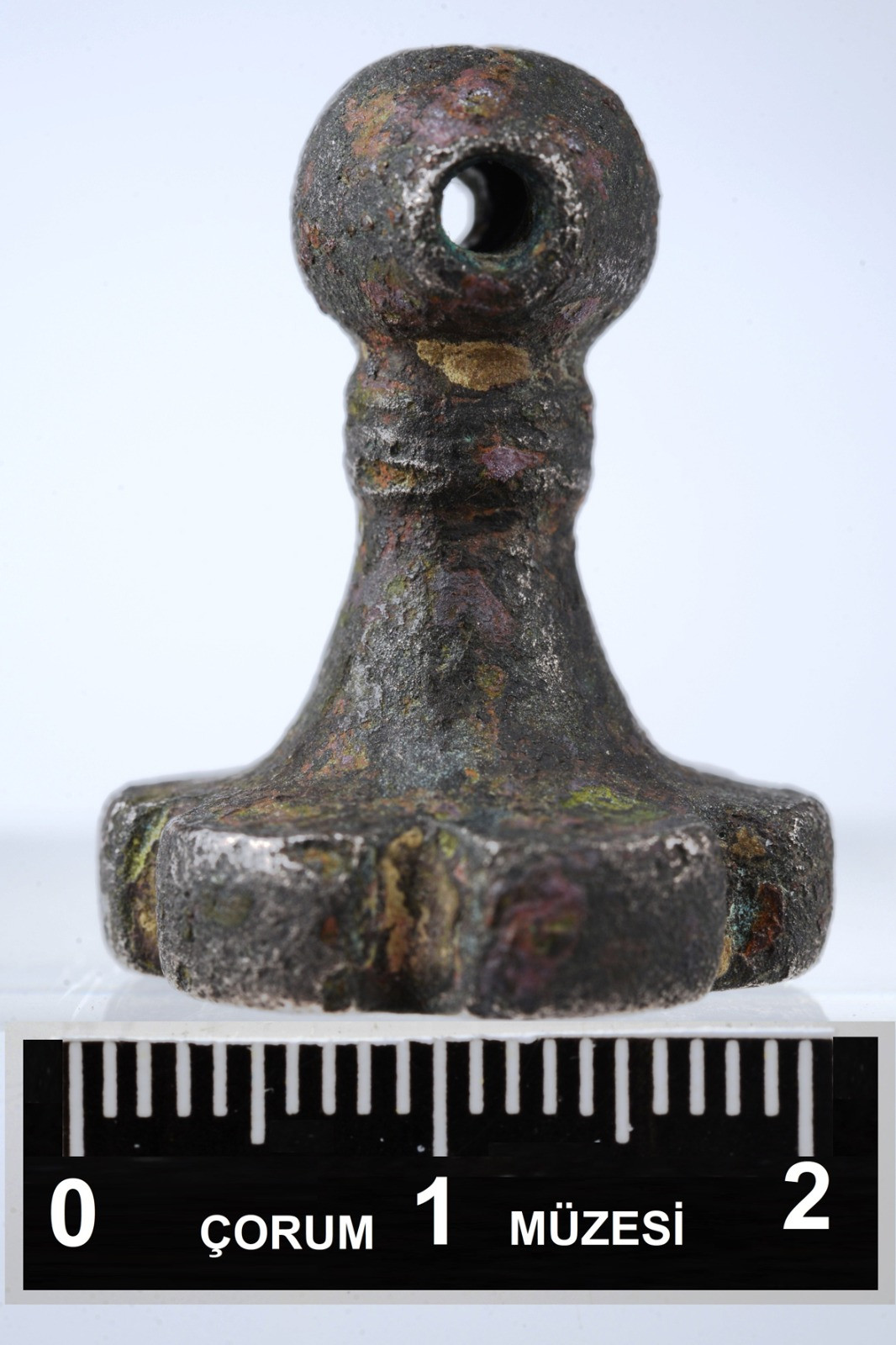 Çorum'da çapa yaparken tarlasında buldu belediye başkanı devreye girdi - Resim : 3