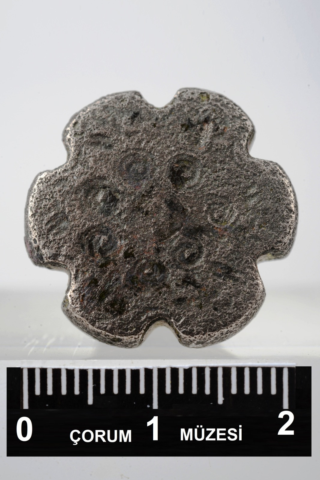 Çorum'da çapa yaparken tarlasında buldu belediye başkanı devreye girdi - Resim : 2