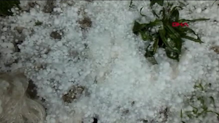 Balıkesir'de yağan dolu etrafı kar gibi bembeyaz yaptı - Resim : 6