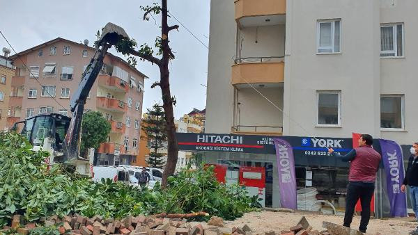 Fırtına Caretta'ları sahile sürükledi - Resim : 4