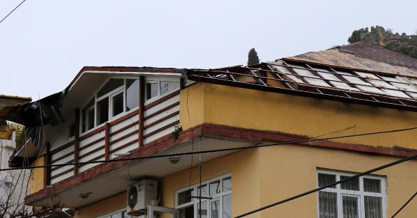 Fırtına Caretta'ları sahile sürükledi - Resim : 5