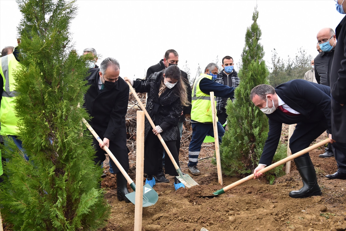 Bursalı Çanakkale şehitleri anısına hatıra ormanı oluşturuldu - Resim : 1