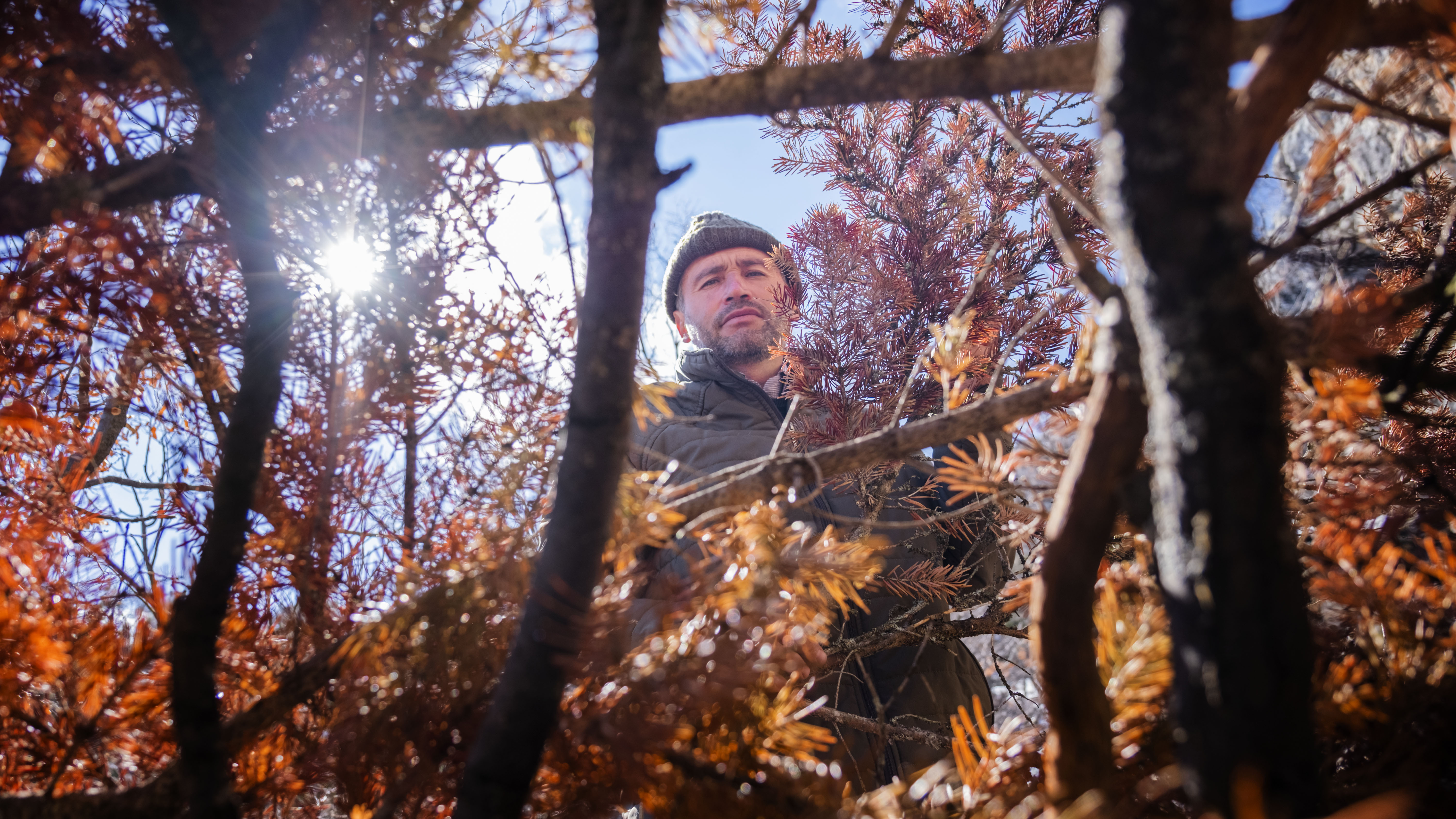 Hayrete düşüren hikaye. Babası 6 yaşında Toroslar'a bıraktı 9 yıl dağlarda yaşadı - Resim : 5