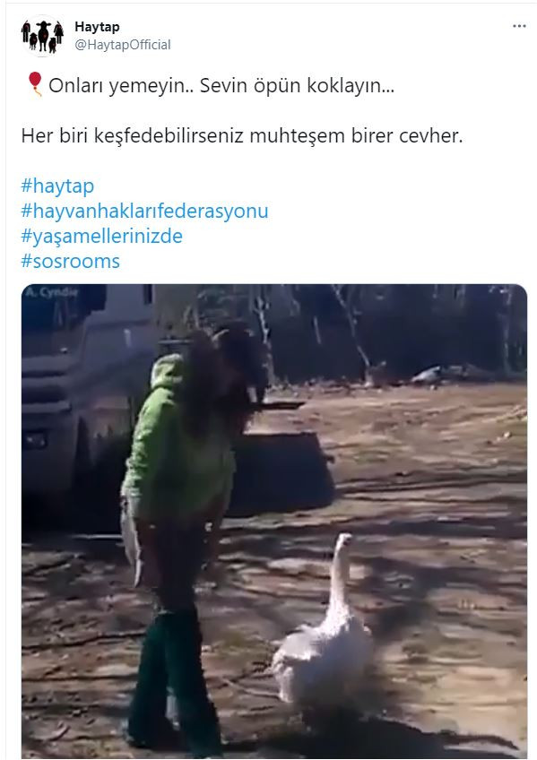 Kadına insan gibi sarıldı. Onları yemeyin sevip koklayın - Resim : 1