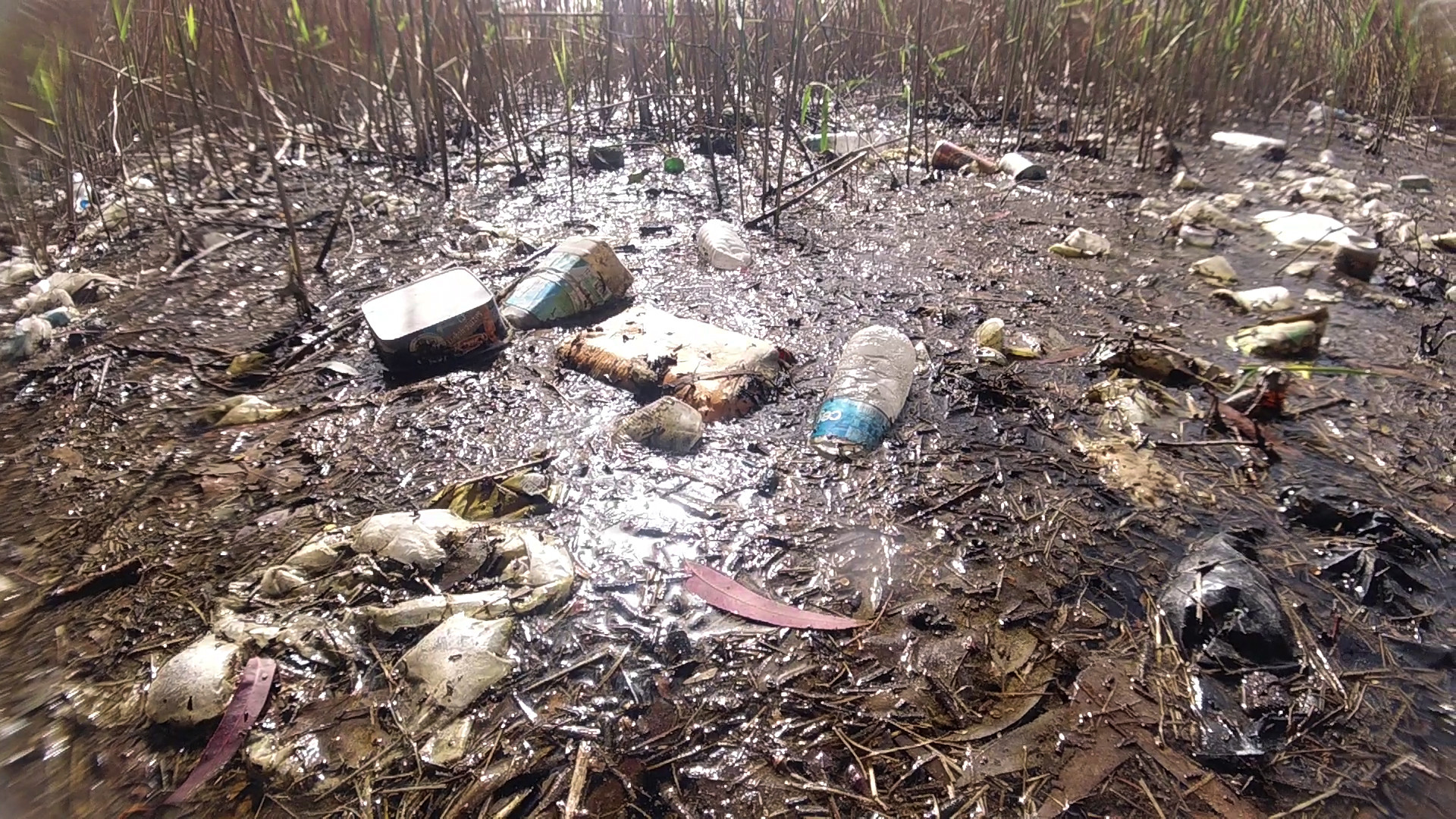 Antalya'da içme suyu kaynağına dalan dalgıçların çıktıklarında ilk sözü bu oldu - Resim : 4