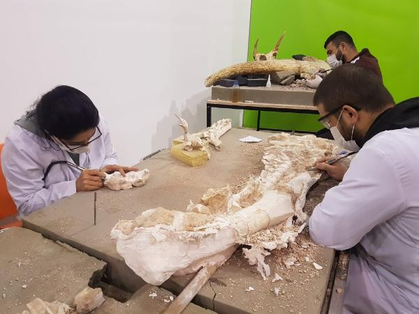 Türk arkeologlar Kayseri ile ilgili yeni bilgiyi açıkladı - Resim : 2