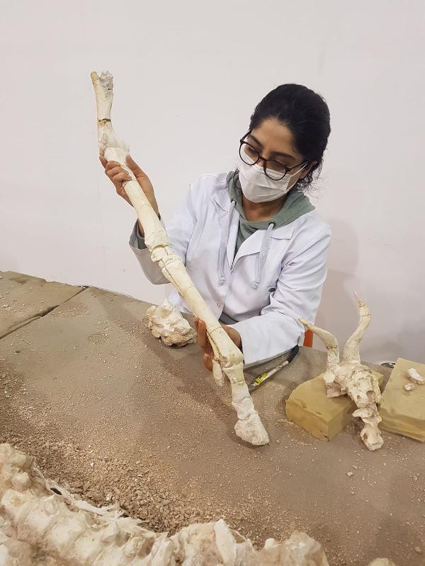 Türk arkeologlar Kayseri ile ilgili yeni bilgiyi açıkladı - Resim : 5