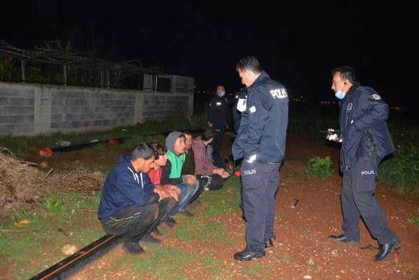 30 kilometrelik kovalamaca tarlada bitti - Resim : 1