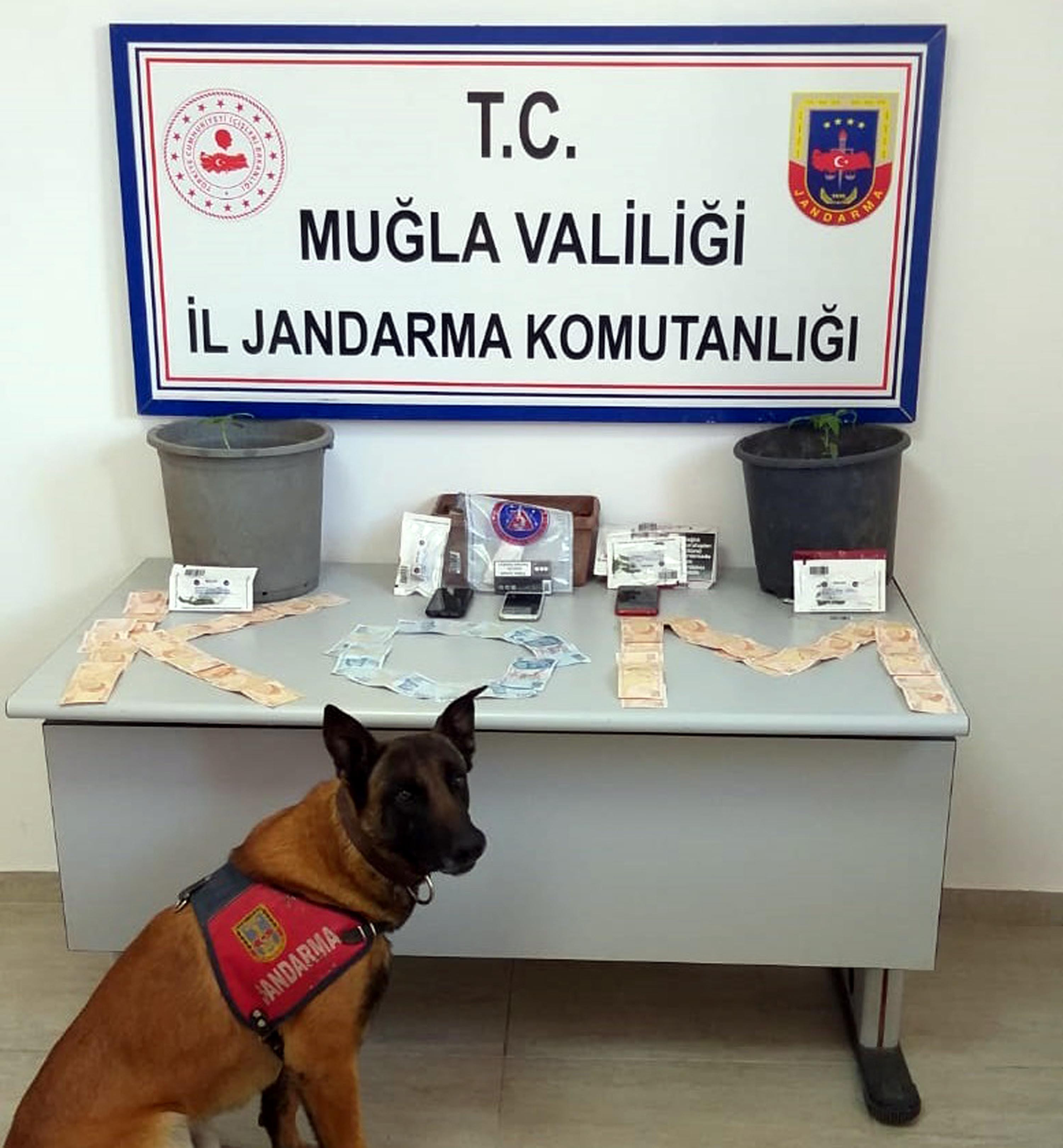 Yaktığı ev mezarı oldu - Resim : 1