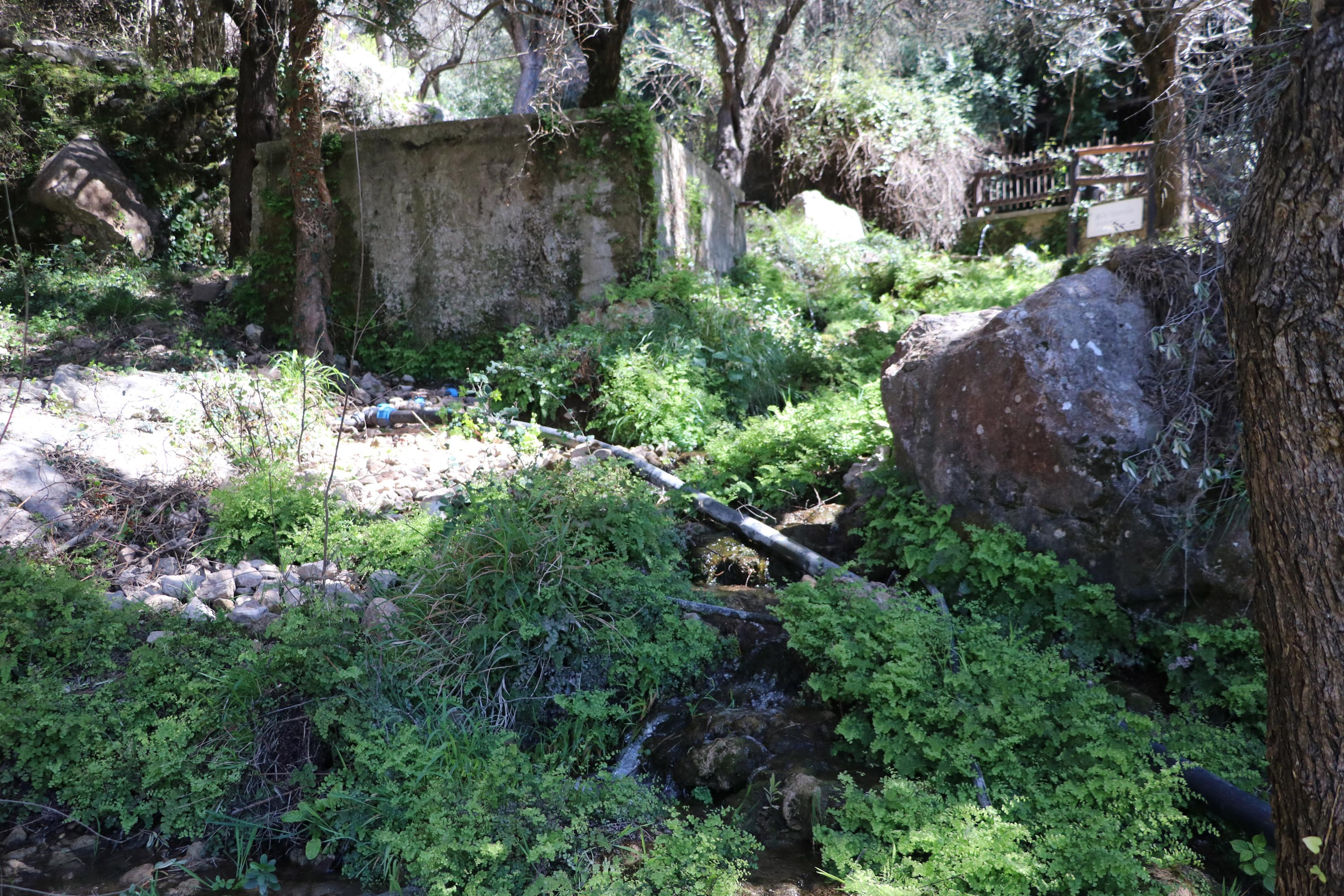 Kelebekler Vadisi'nin suyunu çaldılar. Hem valilik hem de savcılık soruşturma başlattı - Resim : 2