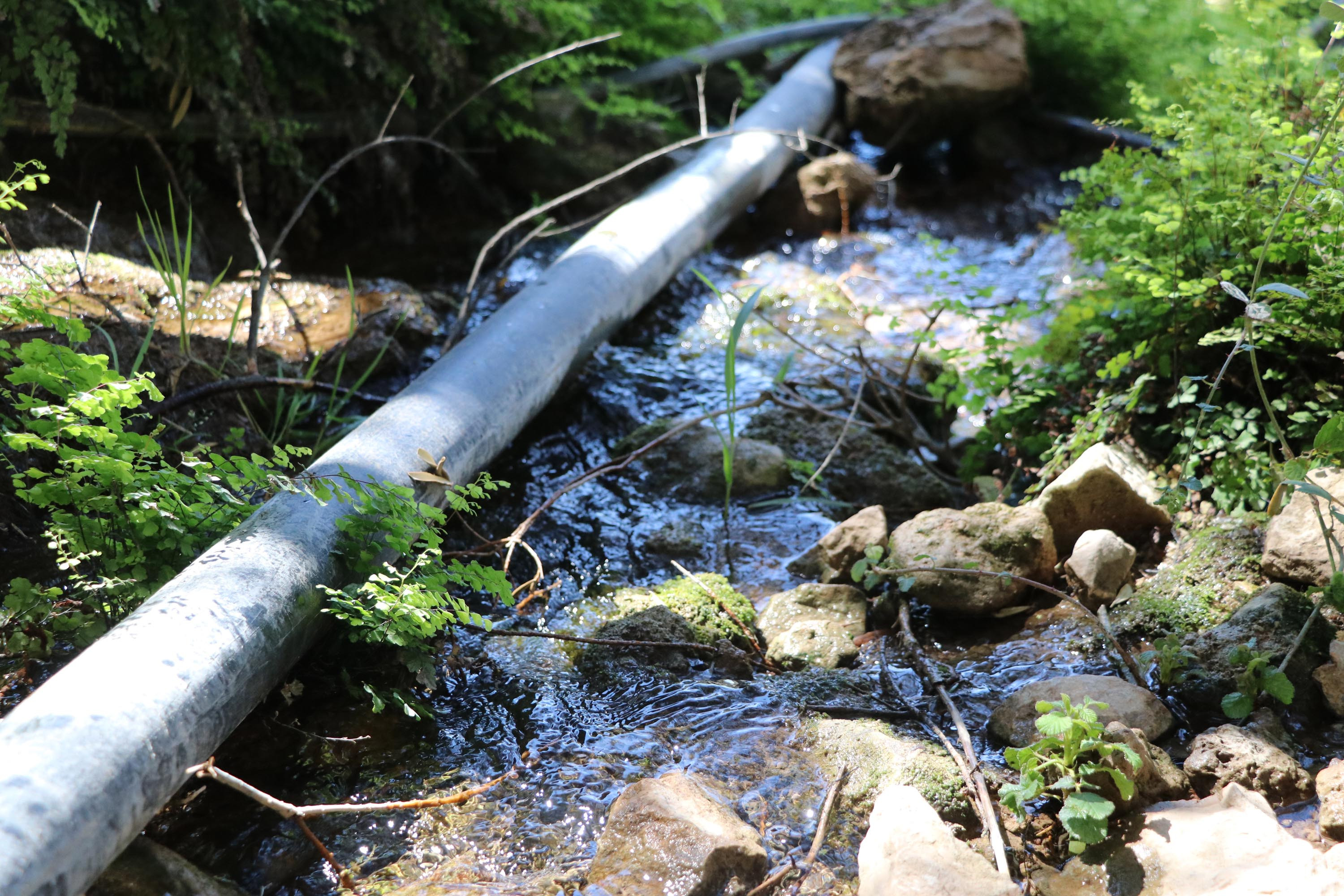 Kelebekler Vadisi'nin suyunu çaldılar. Hem valilik hem de savcılık soruşturma başlattı - Resim : 3