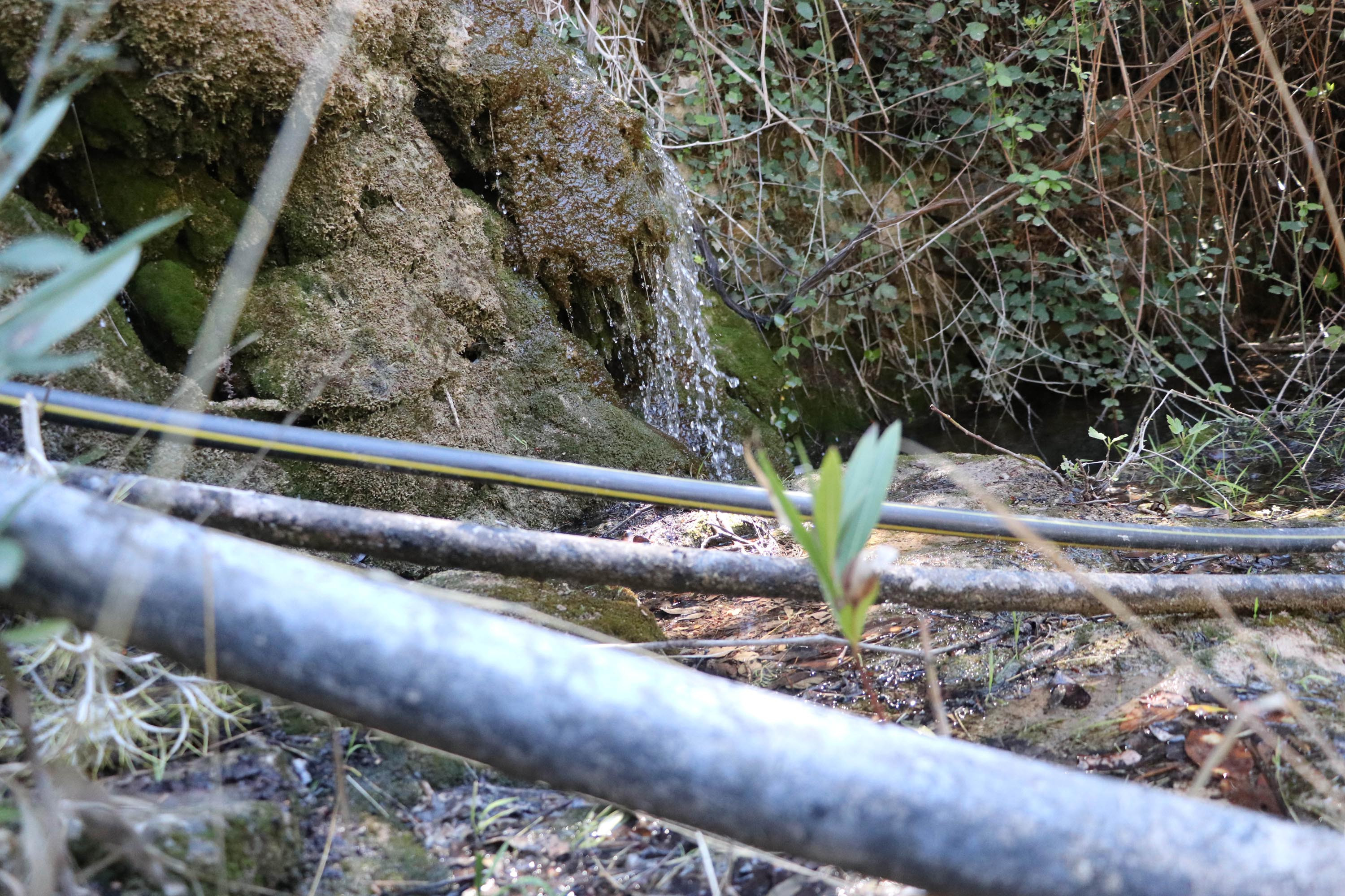 Kelebekler Vadisi'nin suyunu çaldılar. Hem valilik hem de savcılık soruşturma başlattı - Resim : 8