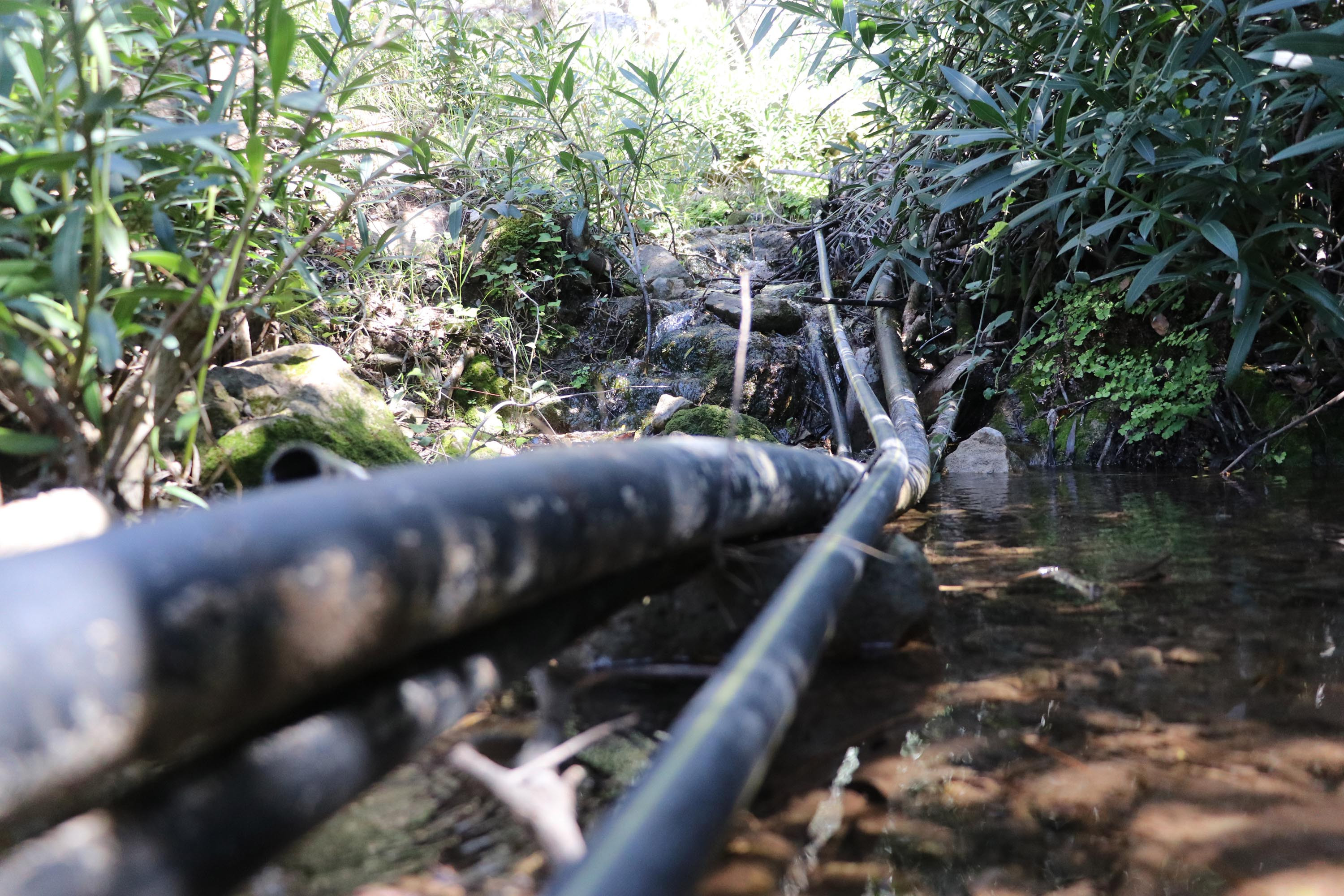Kelebekler Vadisi'nin suyunu çaldılar. Hem valilik hem de savcılık soruşturma başlattı - Resim : 10