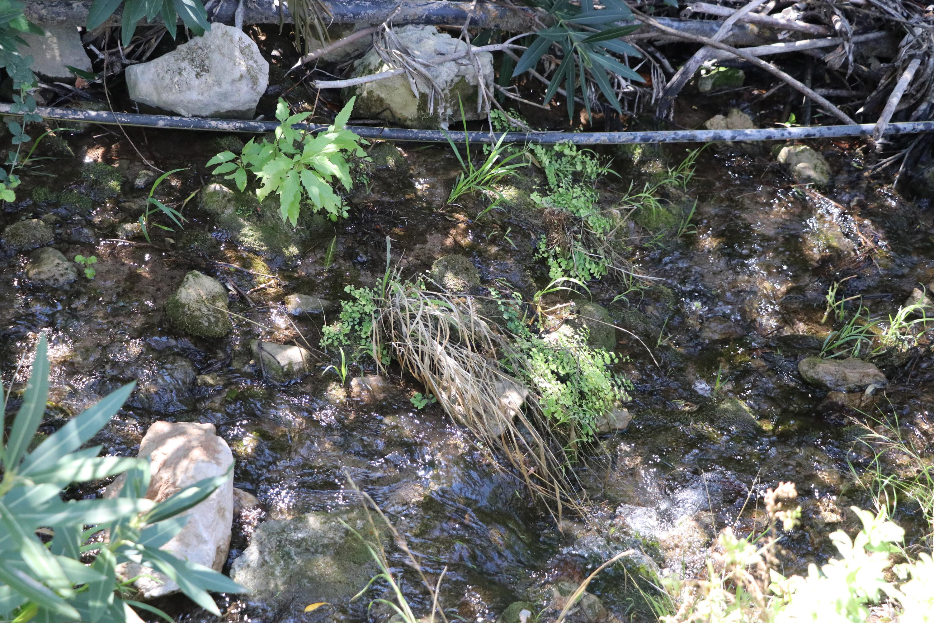 Kelebekler Vadisi'nin suyunu çaldılar. Hem valilik hem de savcılık soruşturma başlattı - Resim : 11