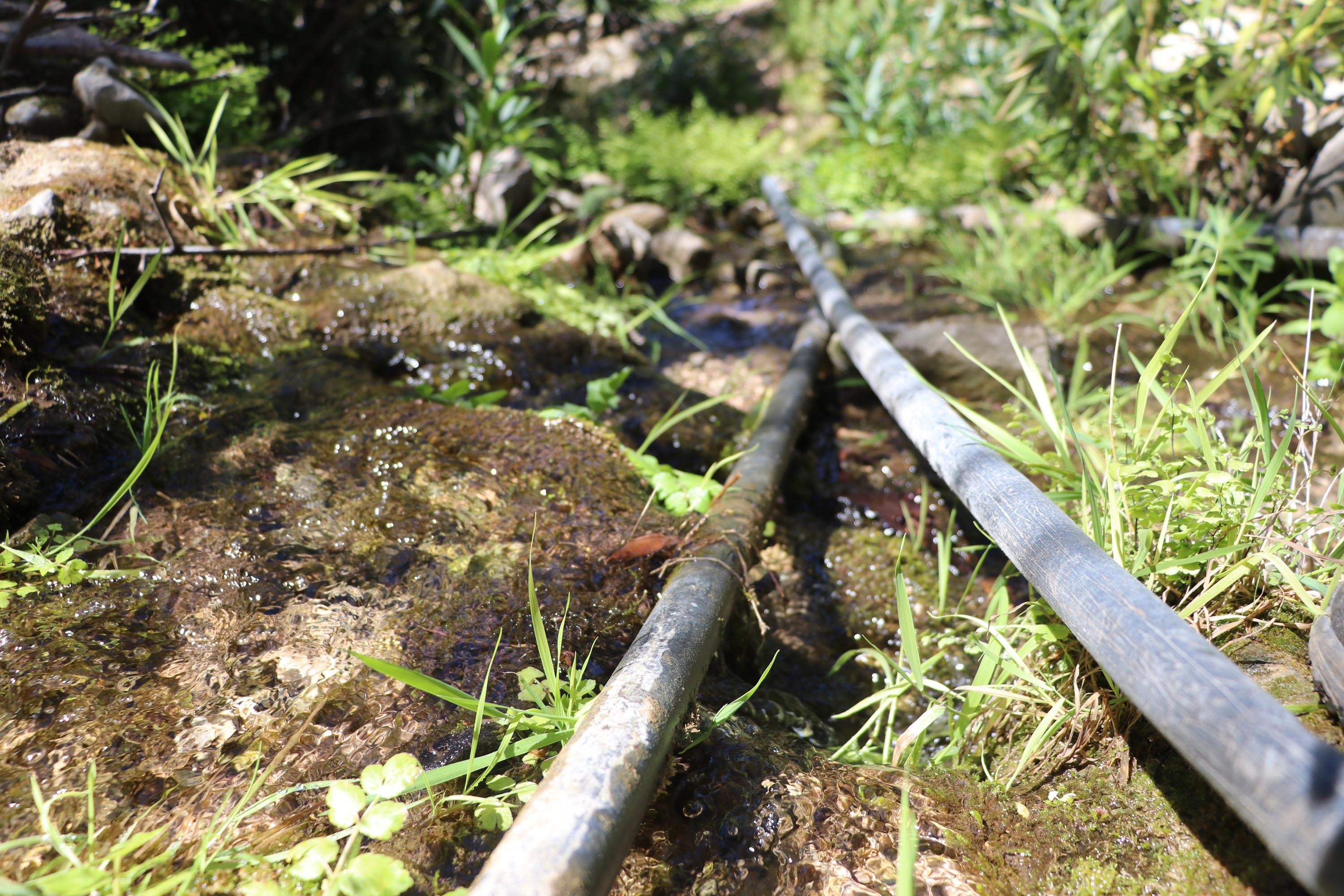 Kelebekler Vadisi'nin suyunu çaldılar. Hem valilik hem de savcılık soruşturma başlattı - Resim : 12