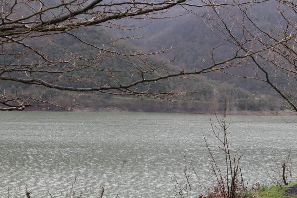 Yuvacık Barajı'nda su seviyesi artışı - Resim : 2