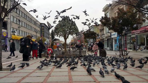 Vaka sayısı 50 binlere çıkacak ölü sayısı artacak. Prof. Dr. Ertuğrul cesurca açıkladı - Resim : 3