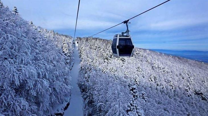 Türkiye'nin tüm tabiat varlıkları tehlike altında. Para bitti doğa yağmaya açılıyor - Resim : 4