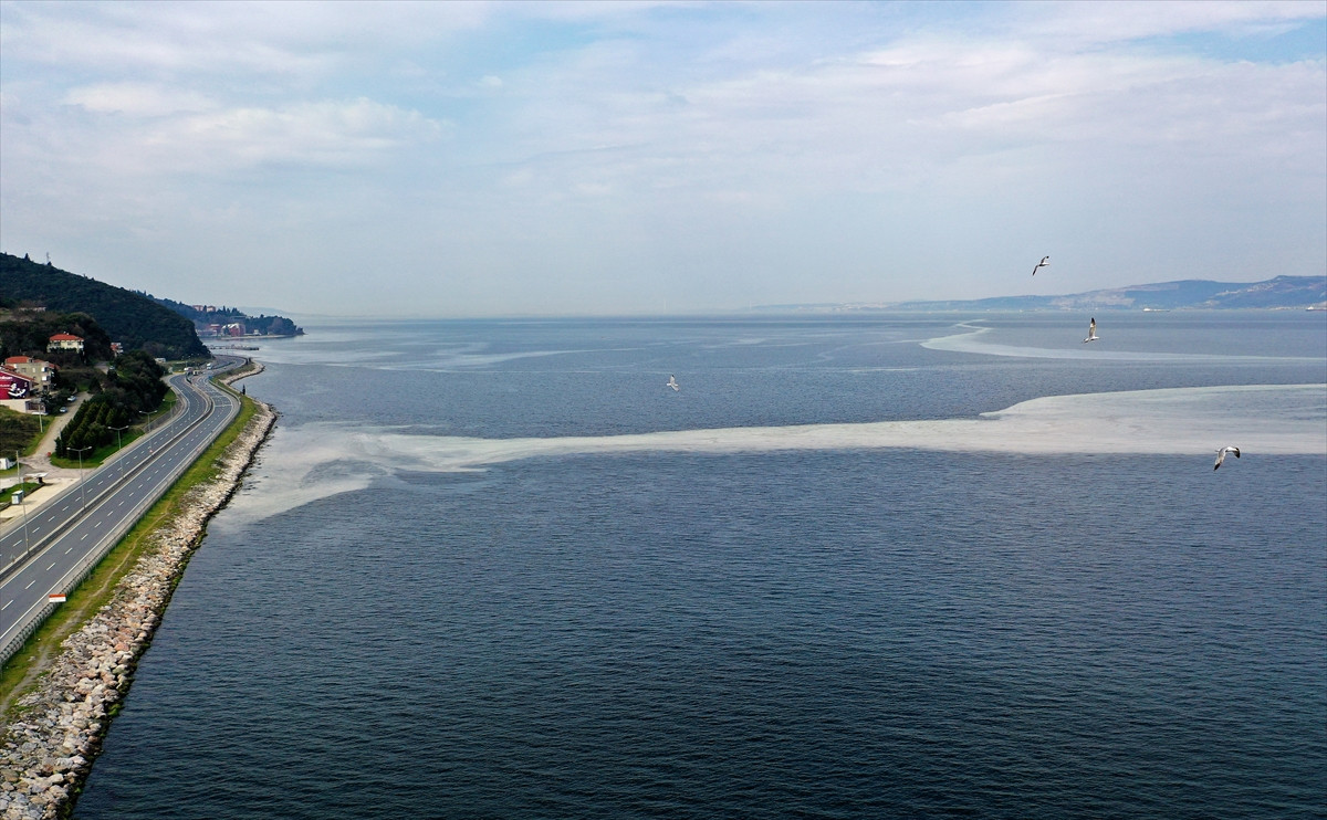 İzmit Körfezi'nde beyaz tabaka oluştu - Resim : 2