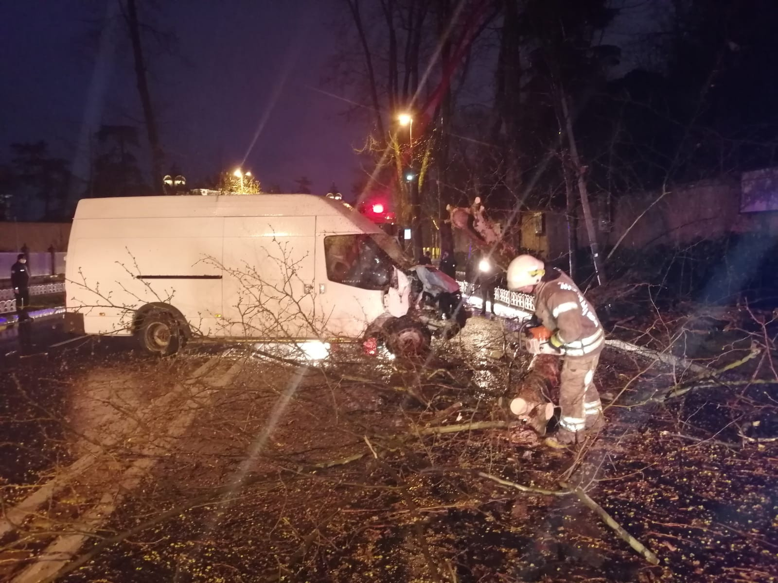 Hızlı şoför, direğe çarpıp ağacı devirdi - Resim : 8