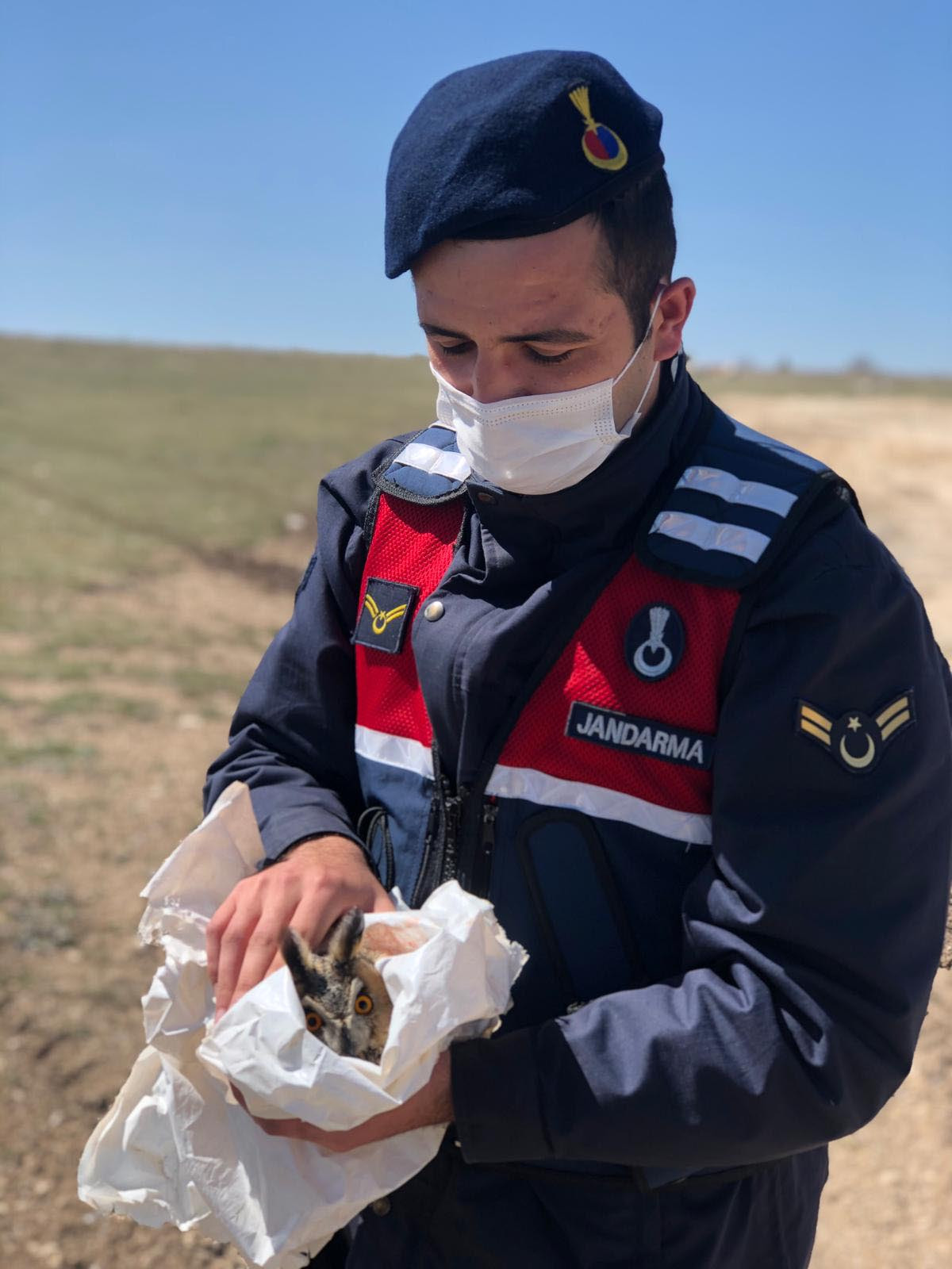 Kartal, baykuşu yaraladı - Resim : 3