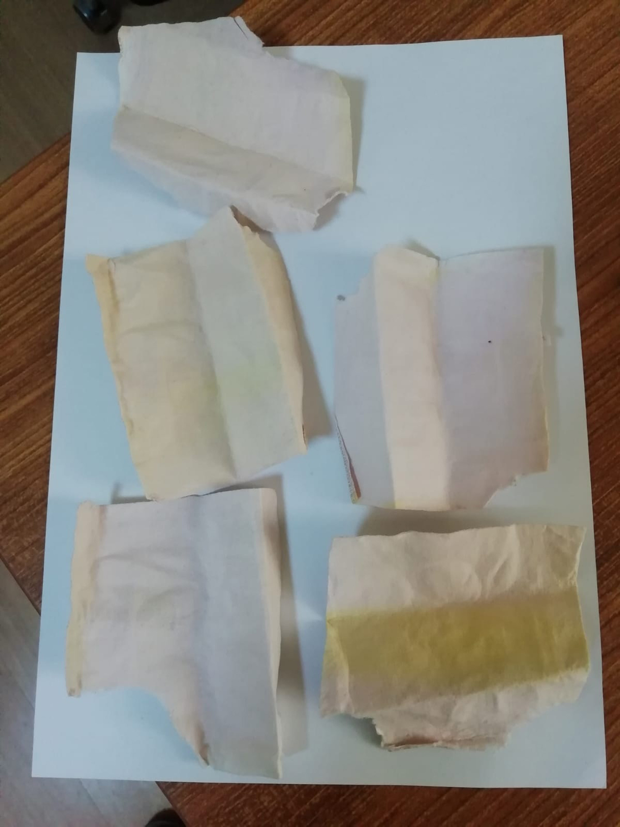 Kavgaya gidip bonzai yakaladılar - Resim : 1