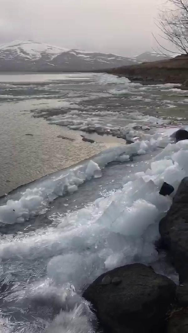 Çıldır Gölü çözülmeye başladı - Resim : 2