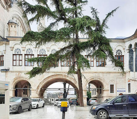 Ortaylı'dan çok konuşulacak 'cami' çıkışı: Dünyanın hiçbir yerinde görmedim - Resim : 1