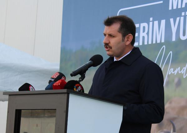 Sivas'ta 50 damızlık manda kurayla verildi - Resim : 5