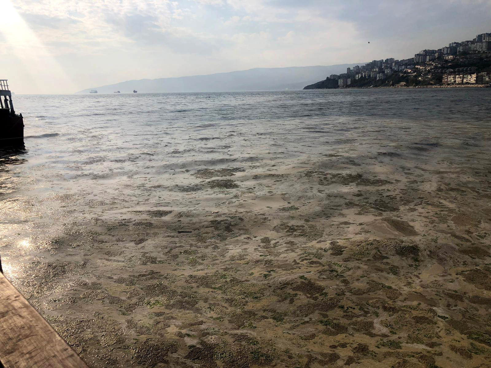 Gemlik Sahili, plankton patlaması ile bembeyaz oldu. Görenler şaşkına döndü - Resim : 6