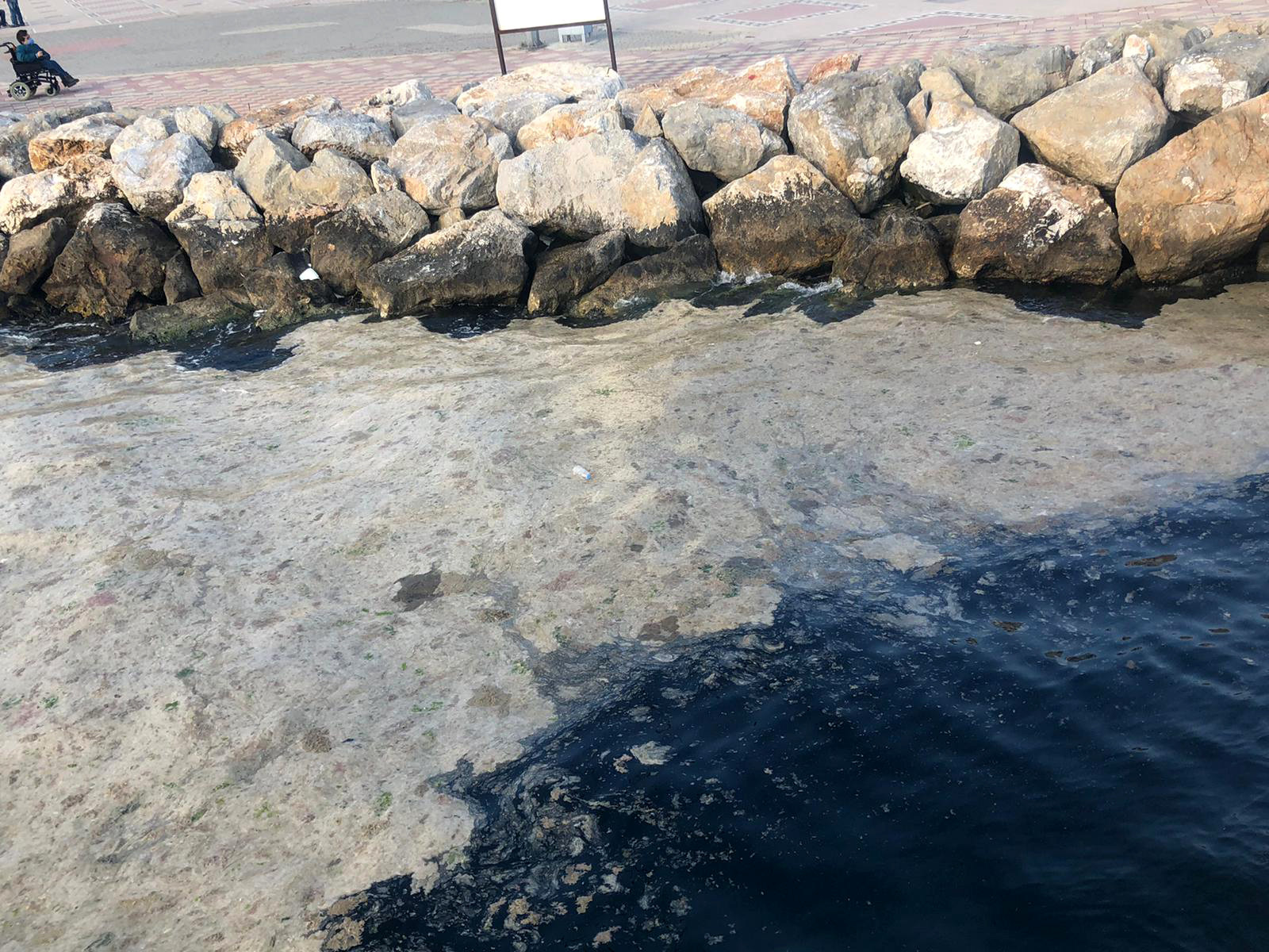 Gemlik Sahili, plankton patlaması ile bembeyaz oldu. Görenler şaşkına döndü - Resim : 9