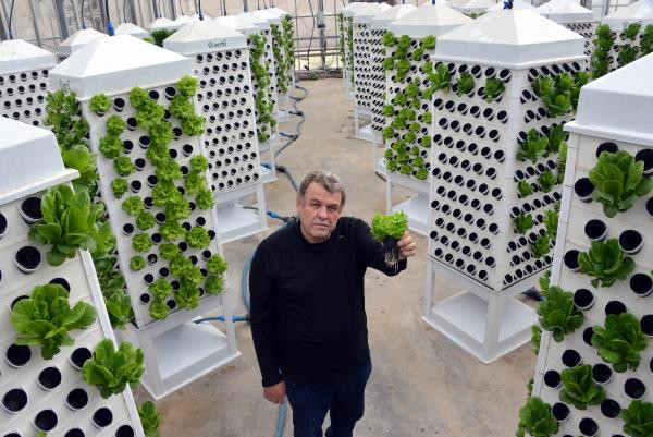 Topraksız tarım ve dikey sistemle 13 kat daha fazla bitki - Resim : 1