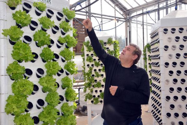 Topraksız tarım ve dikey sistemle 13 kat daha fazla bitki - Resim : 5