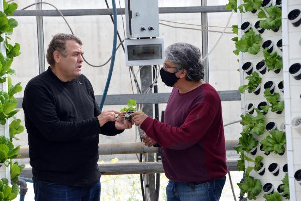 Topraksız tarım ve dikey sistemle 13 kat daha fazla bitki - Resim : 7