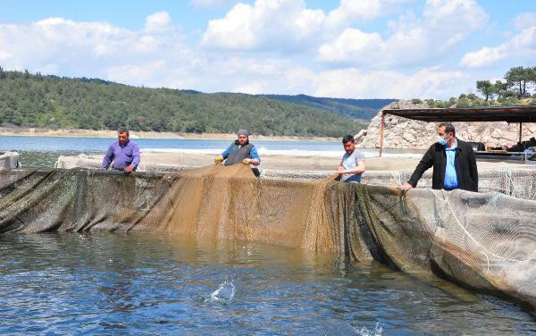 Manisa'nın baraj göletlerinden dünyaya balık ihracatı - Resim : 3