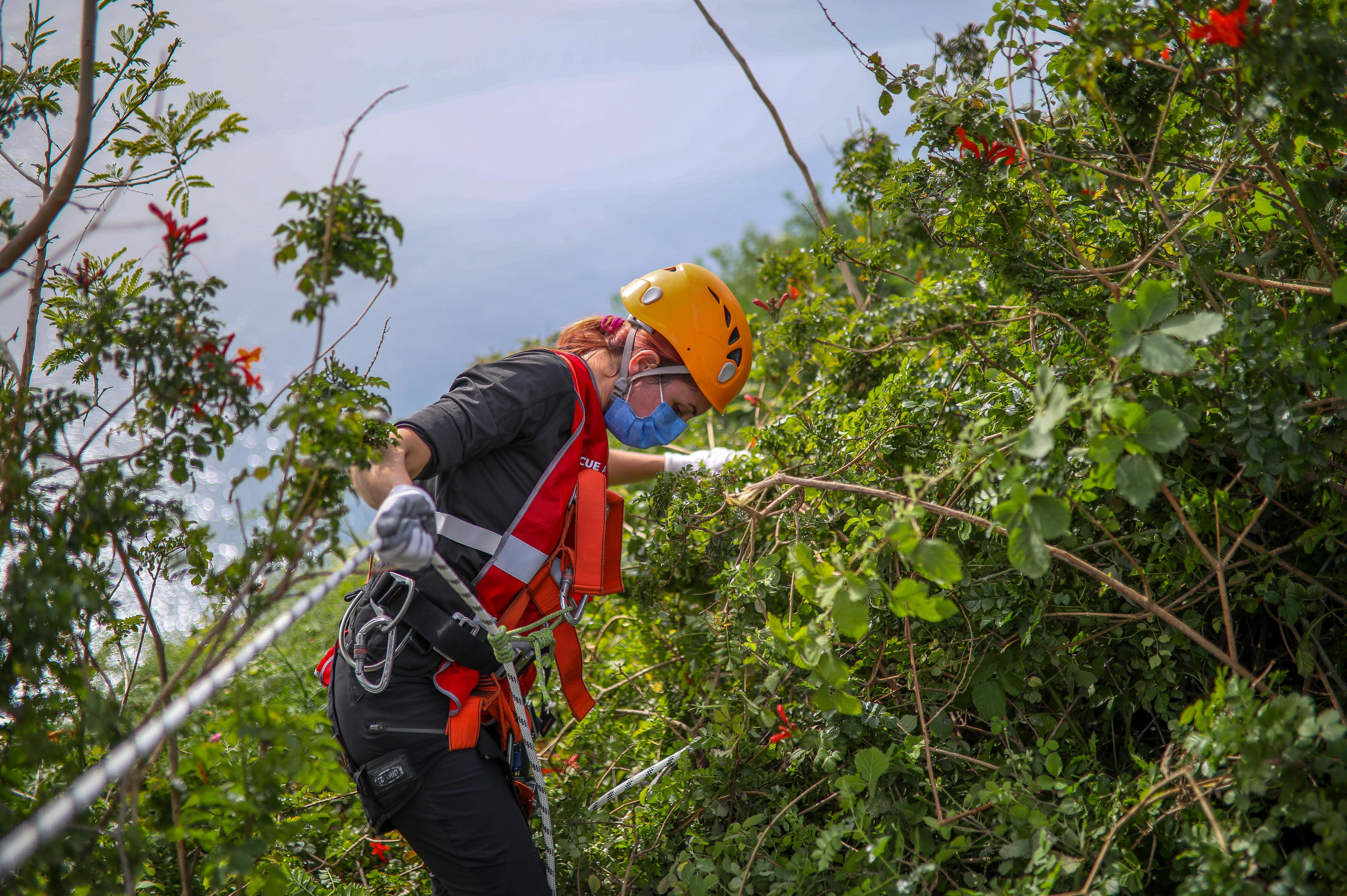 Uçurumda sıkışan kaplumbağa için seferber oldular - Resim : 10
