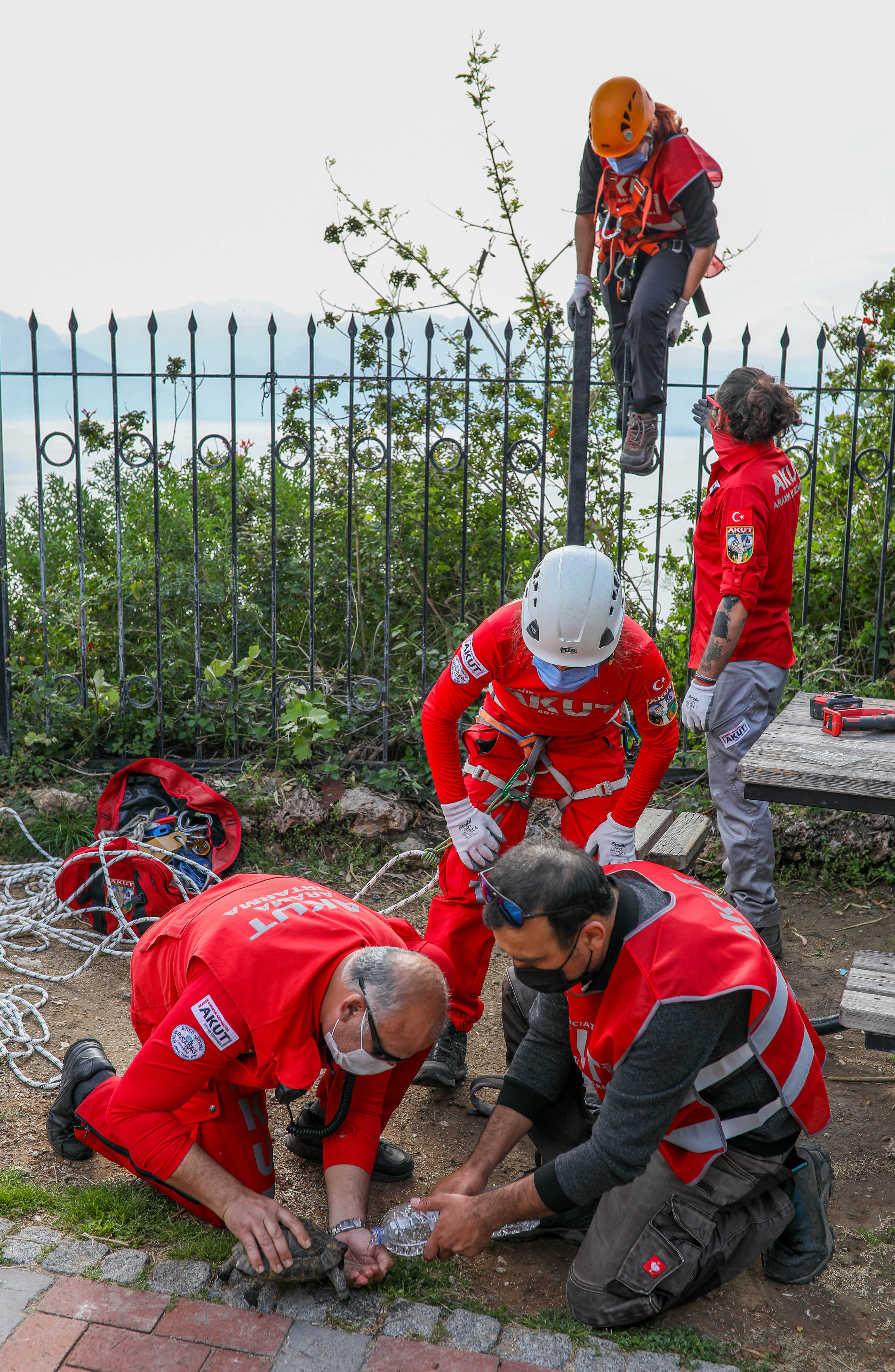Uçurumda sıkışan kaplumbağa için seferber oldular - Resim : 6