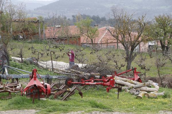 Giriş yasaklanan köyde vaka sayılarına kimse inanamadı - Resim : 4