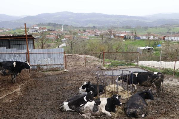 Giriş yasaklanan köyde vaka sayılarına kimse inanamadı - Resim : 5