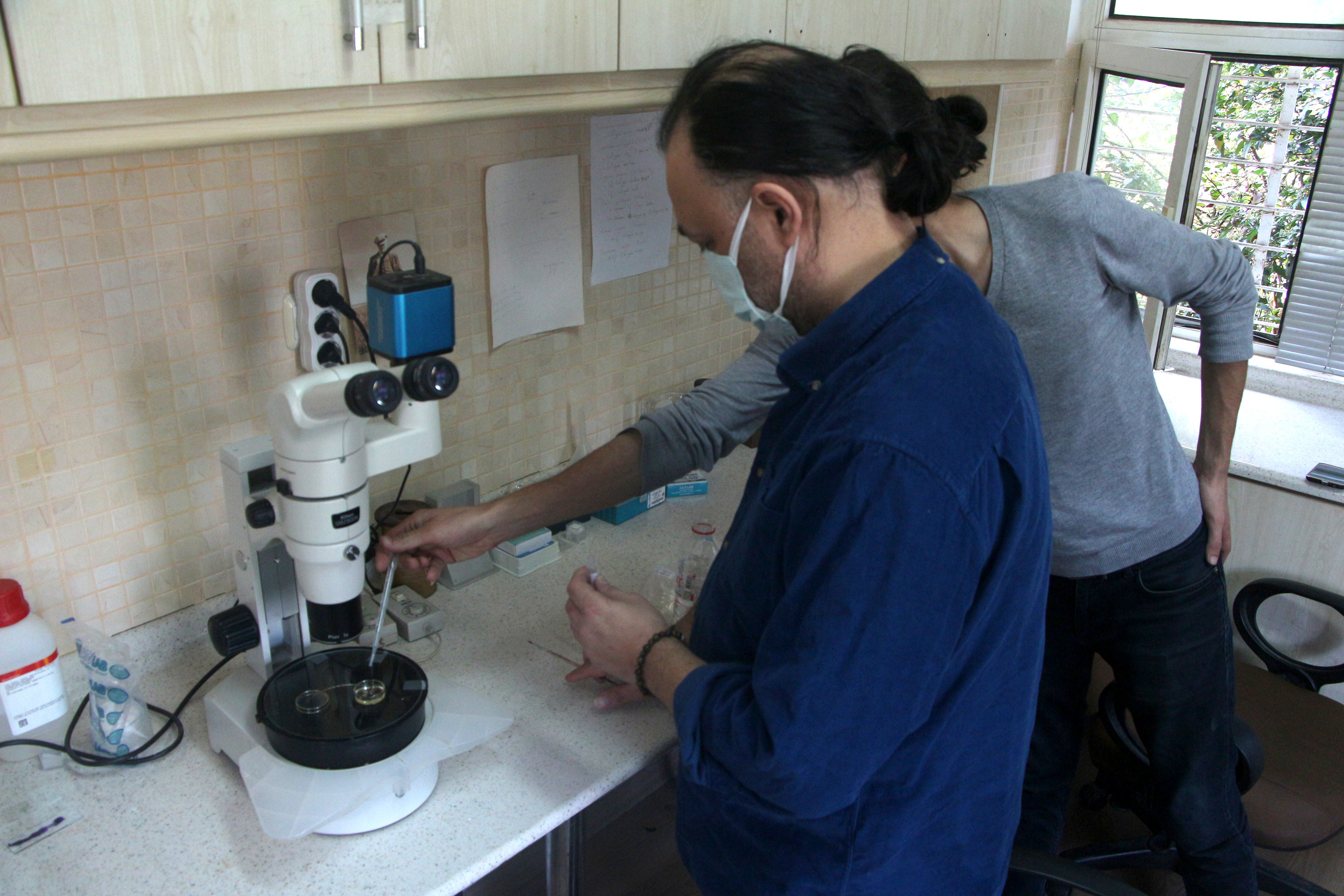 İlk kez görüldü ve öldürücü! Adını da Adana koydular - Resim : 6