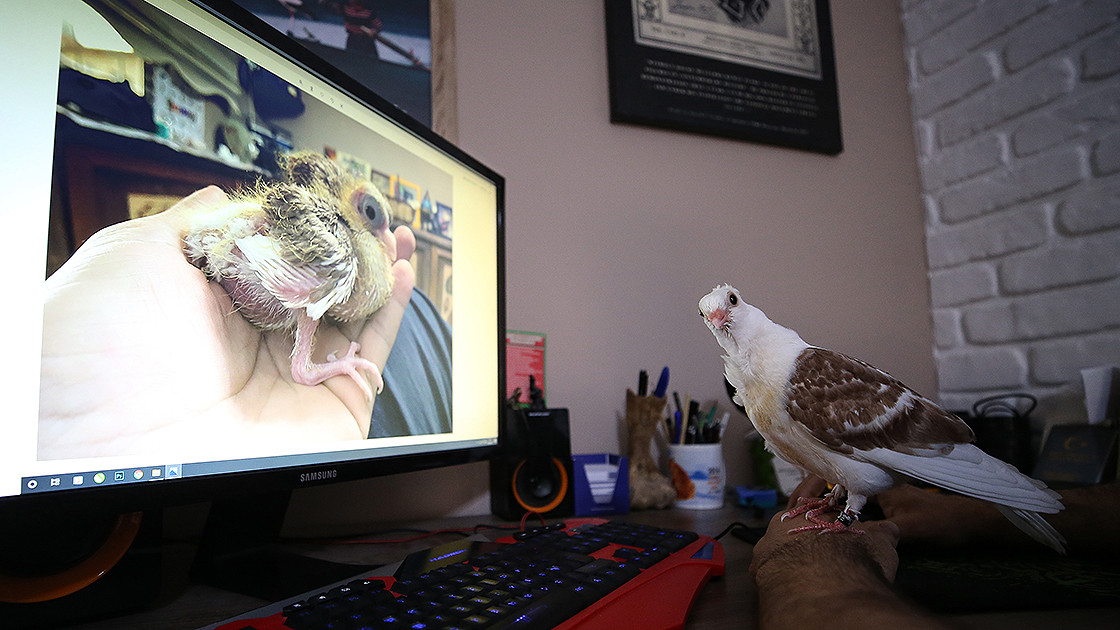 Ölmek üzereyken bulunan zibidi uçmaya başladı - Resim : 3