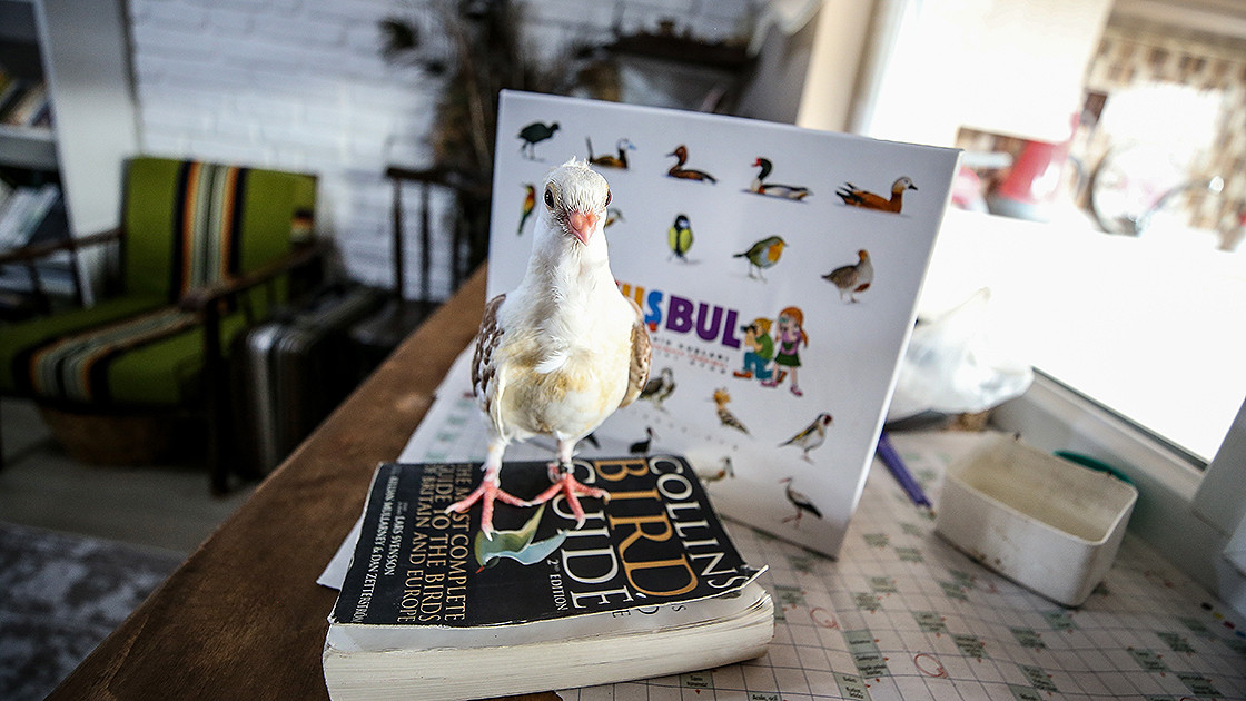 Ölmek üzereyken bulunan zibidi uçmaya başladı - Resim : 4