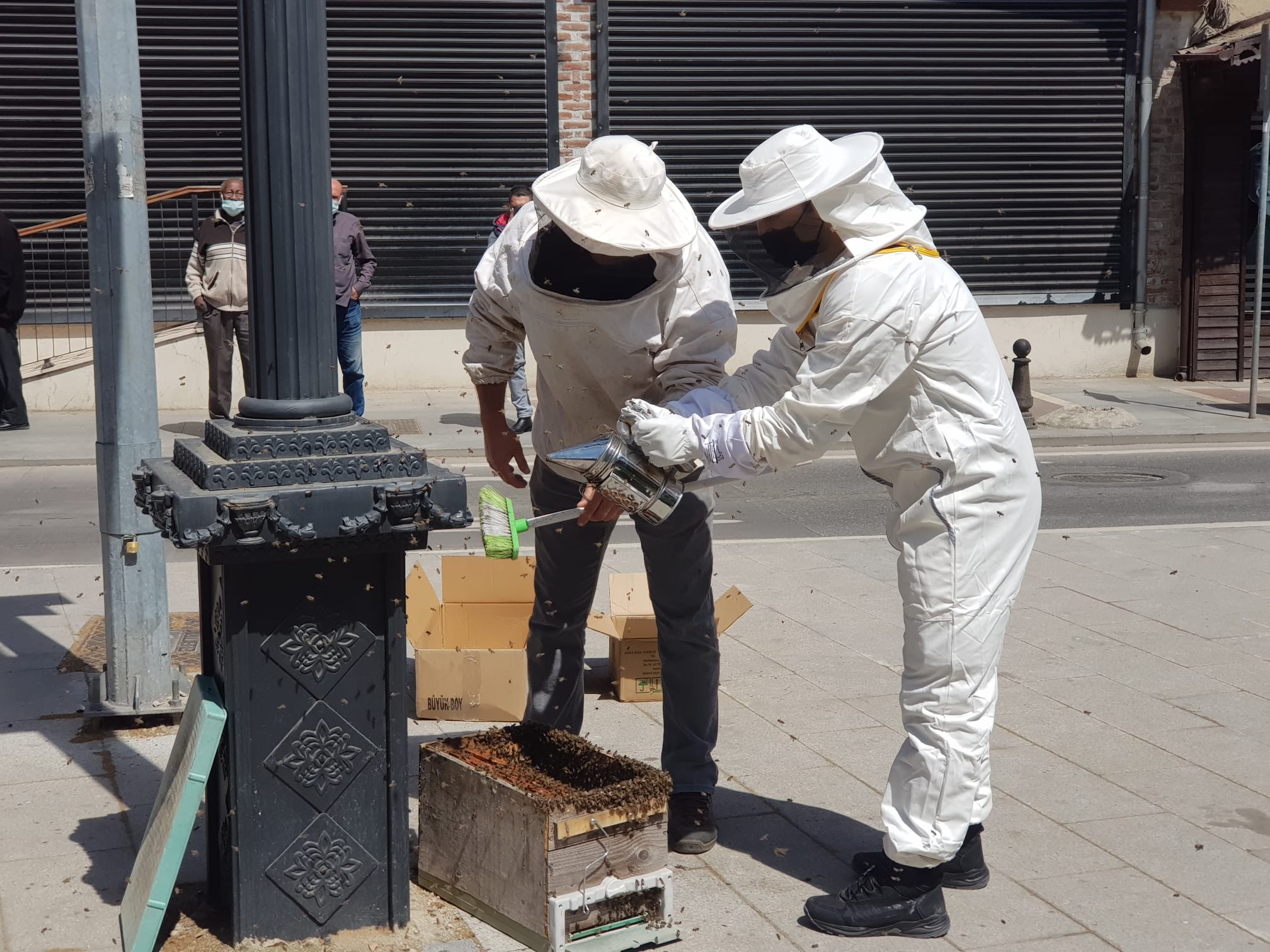 Saat kulesini istila eden arılar görenleri tedirgin etti - Resim : 3